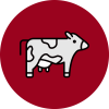 Sapi